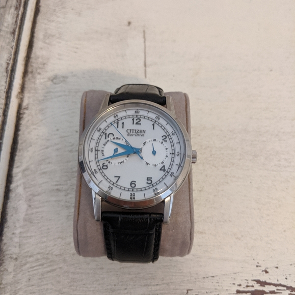 Citizen Other - Citizen Eco-Drive Black Alligator Leather